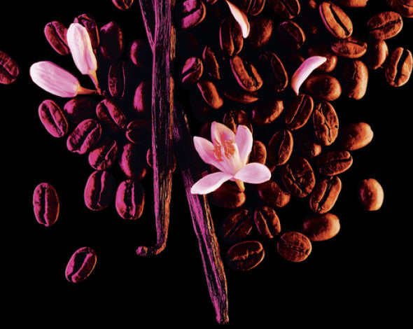 Yves Saint Laurent Black Opium Eau de Parfum 30ml - Bold Vanilla Coffee - Image 4