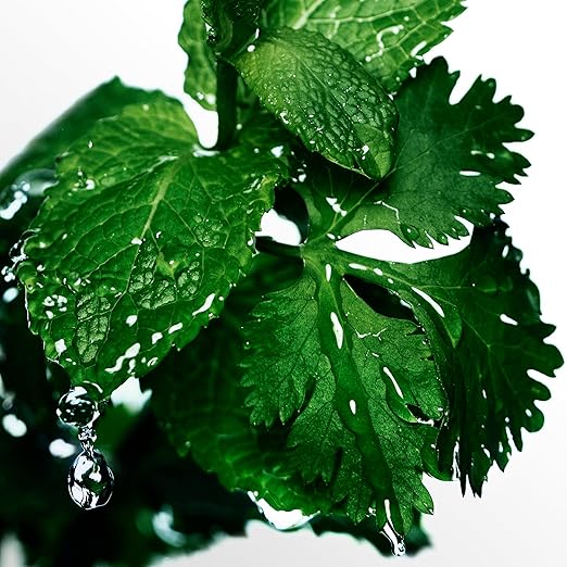 Davidoff Cool Water Deodorant Spray 150ml - All-Day Freshness - Image 4