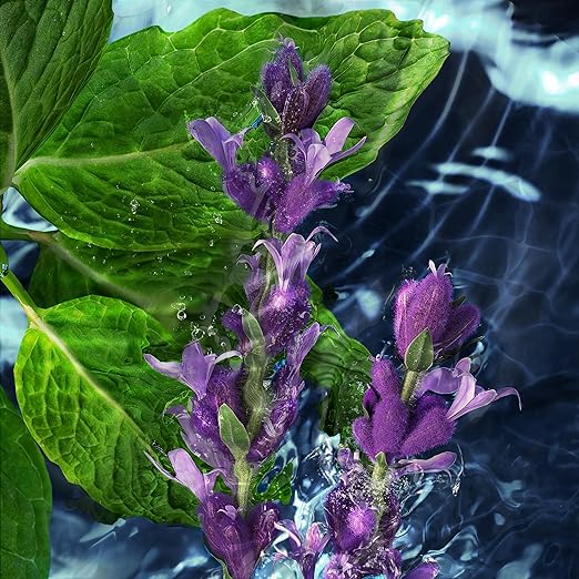 Davidoff Cool Water Deodorant Spray 150ml - All-Day Freshness - Image 5